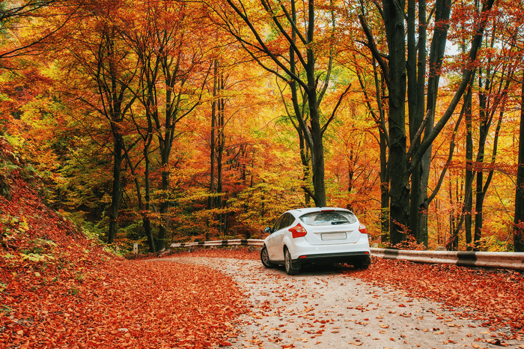 Fall 2022 Newsletter USX Federal Credit Union